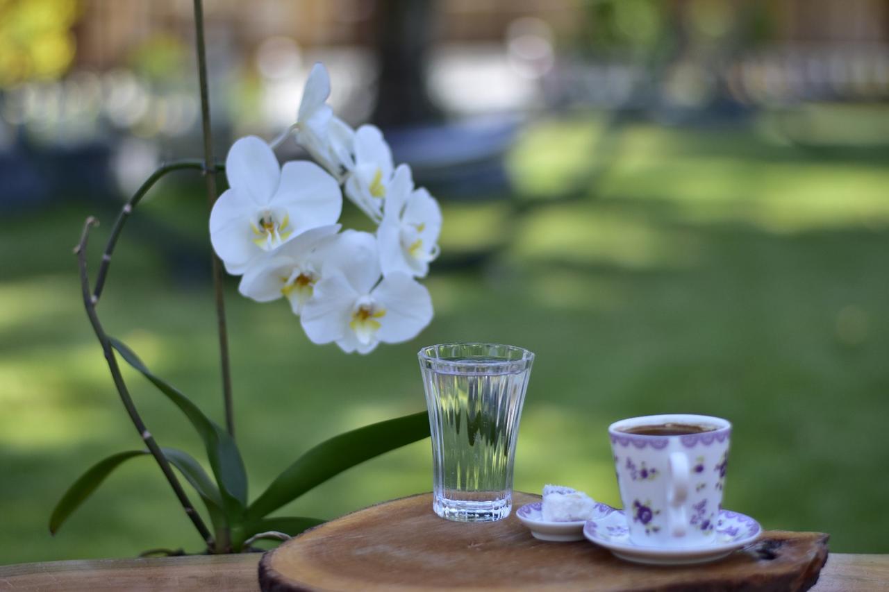 Likya Adrasan Hotel Екстериор снимка